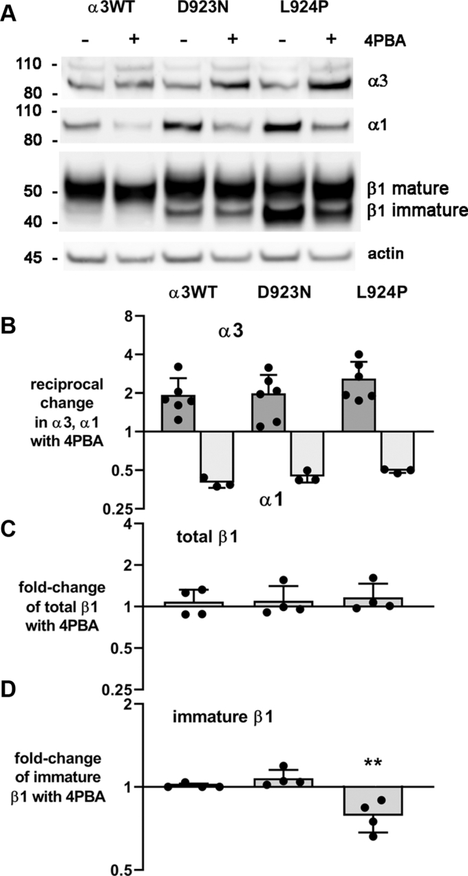 Figure 6