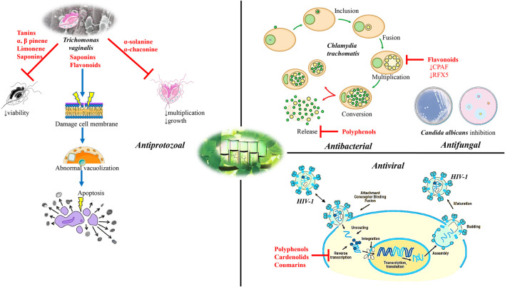 FIGURE 3