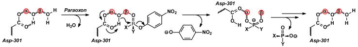 Scheme 2