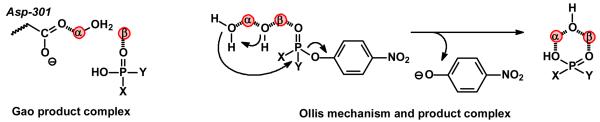 Scheme 3