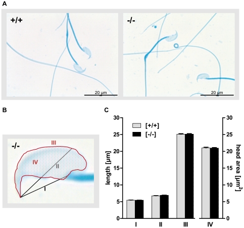 Figure 8