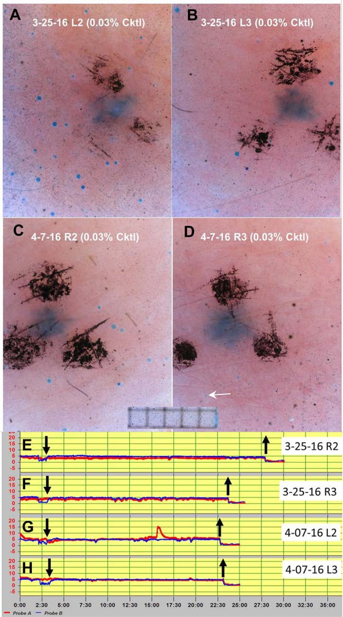 Fig 6