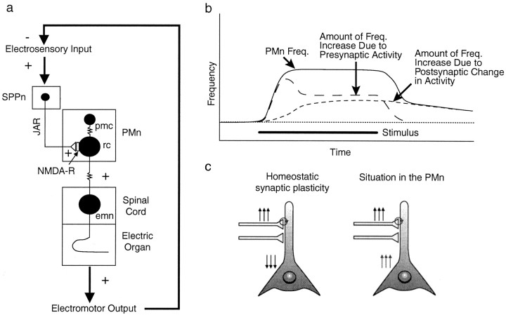 Fig. 8.