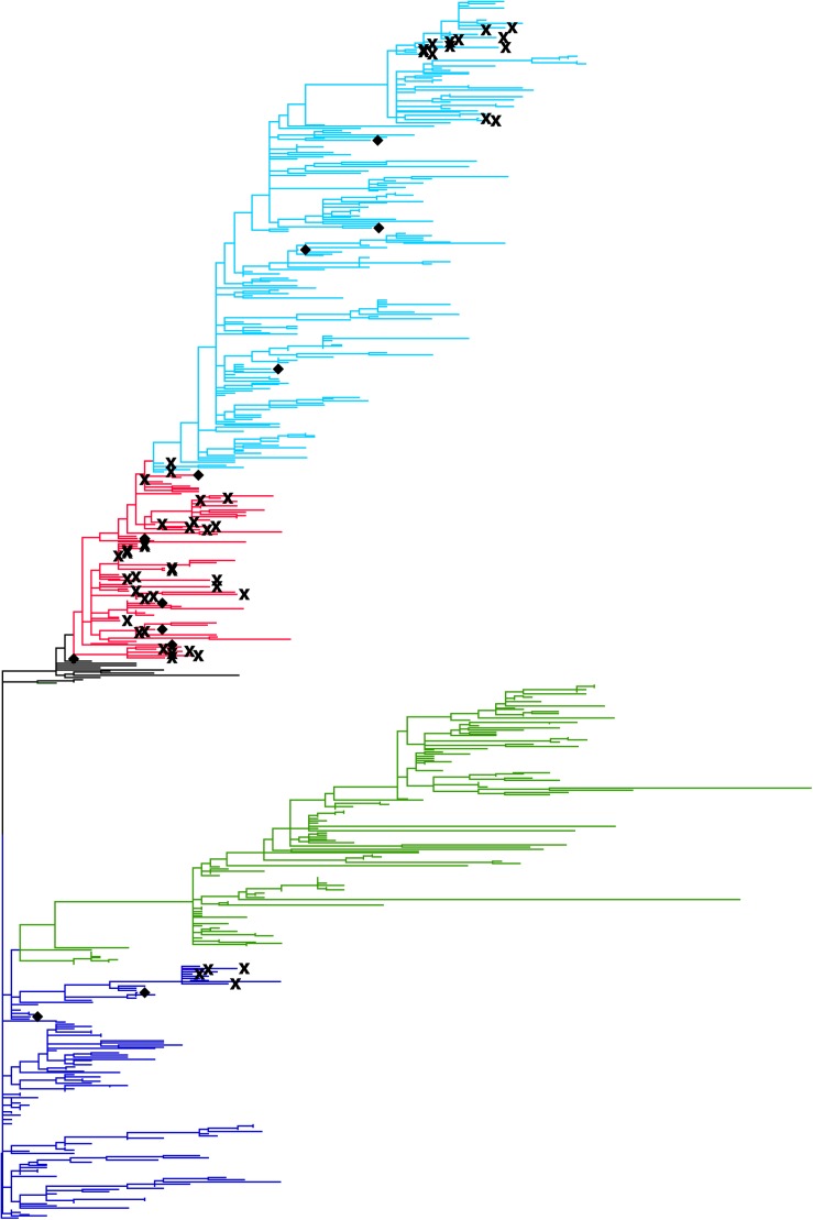 FIGURE 3