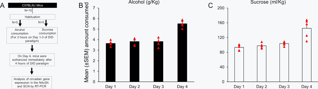 Figure 3: