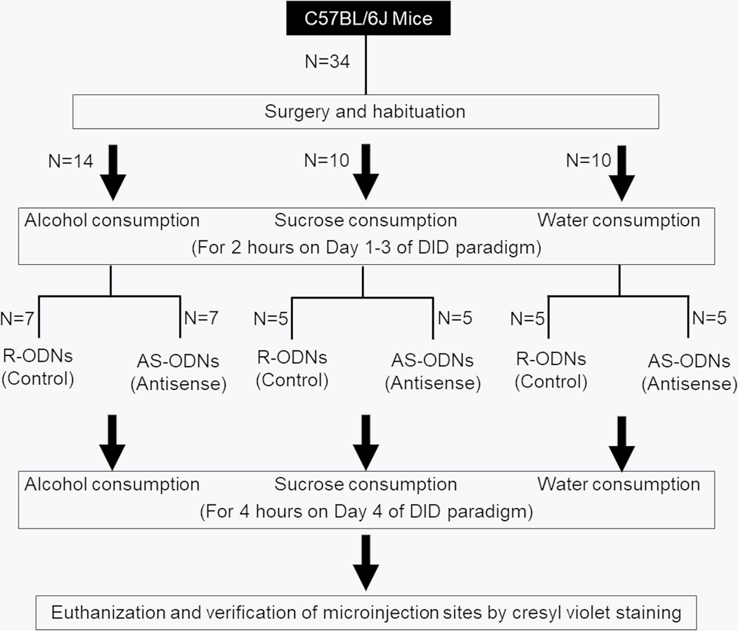 Figure 5: