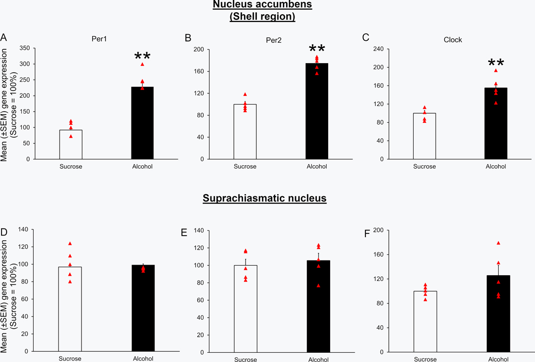 Figure 4: