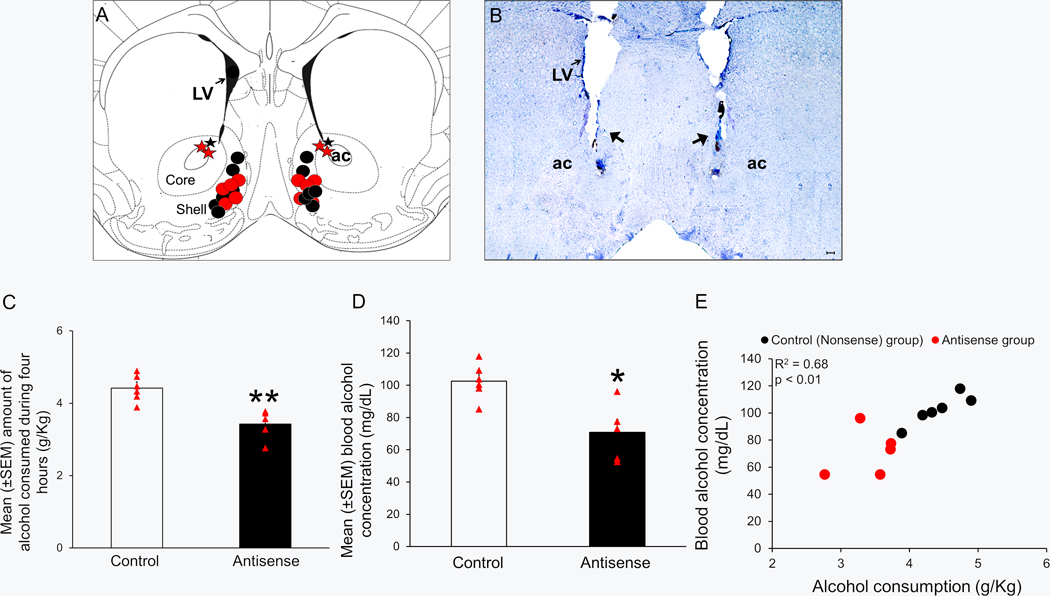 Figure 6: