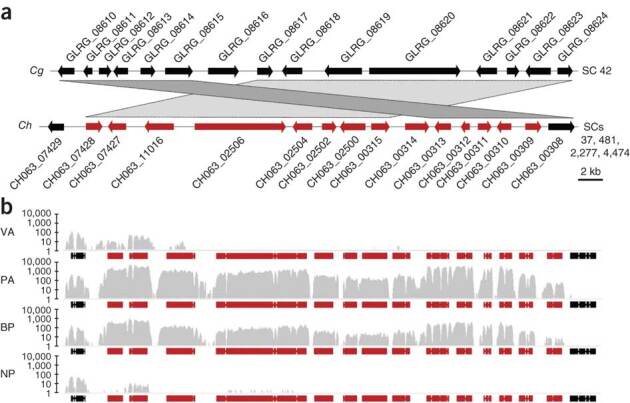 Figure 4