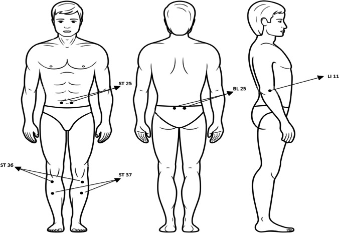 Fig. 2