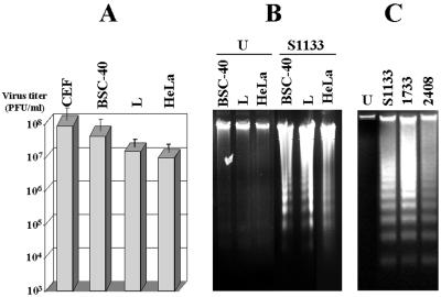 FIG. 4.