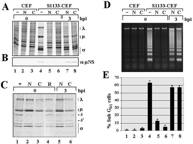 FIG. 7.