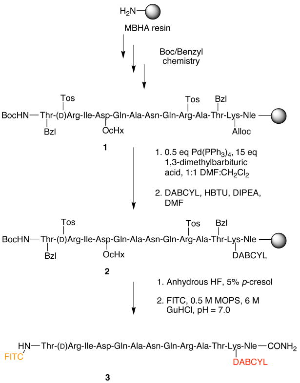 Scheme 1