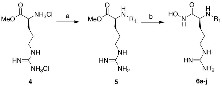 Scheme 2