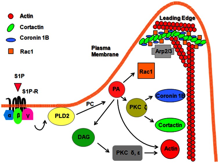 Figure 10