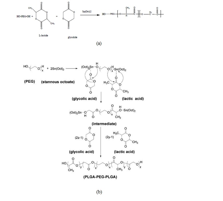 Fig. 1(a)