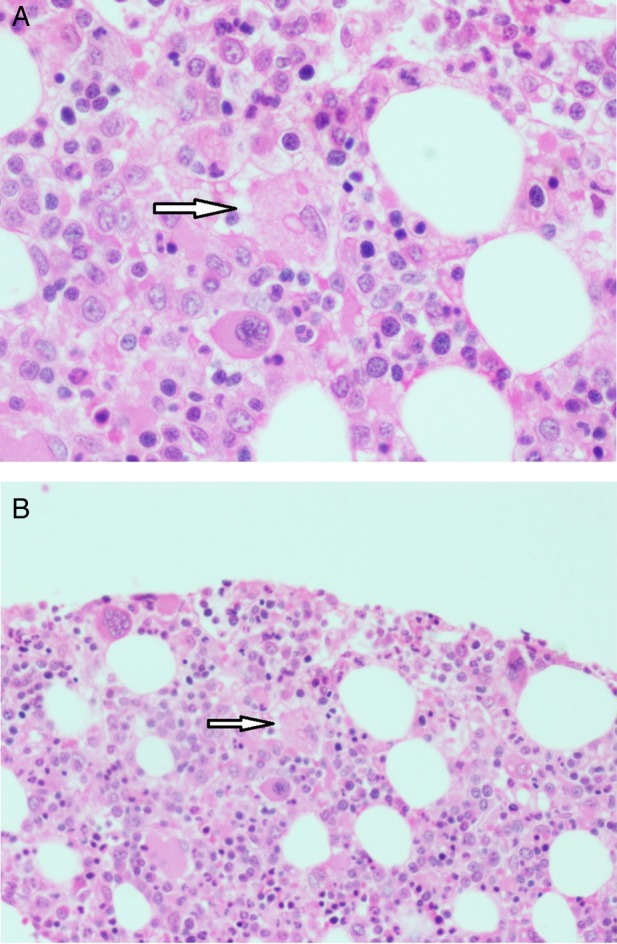 Figure 2: