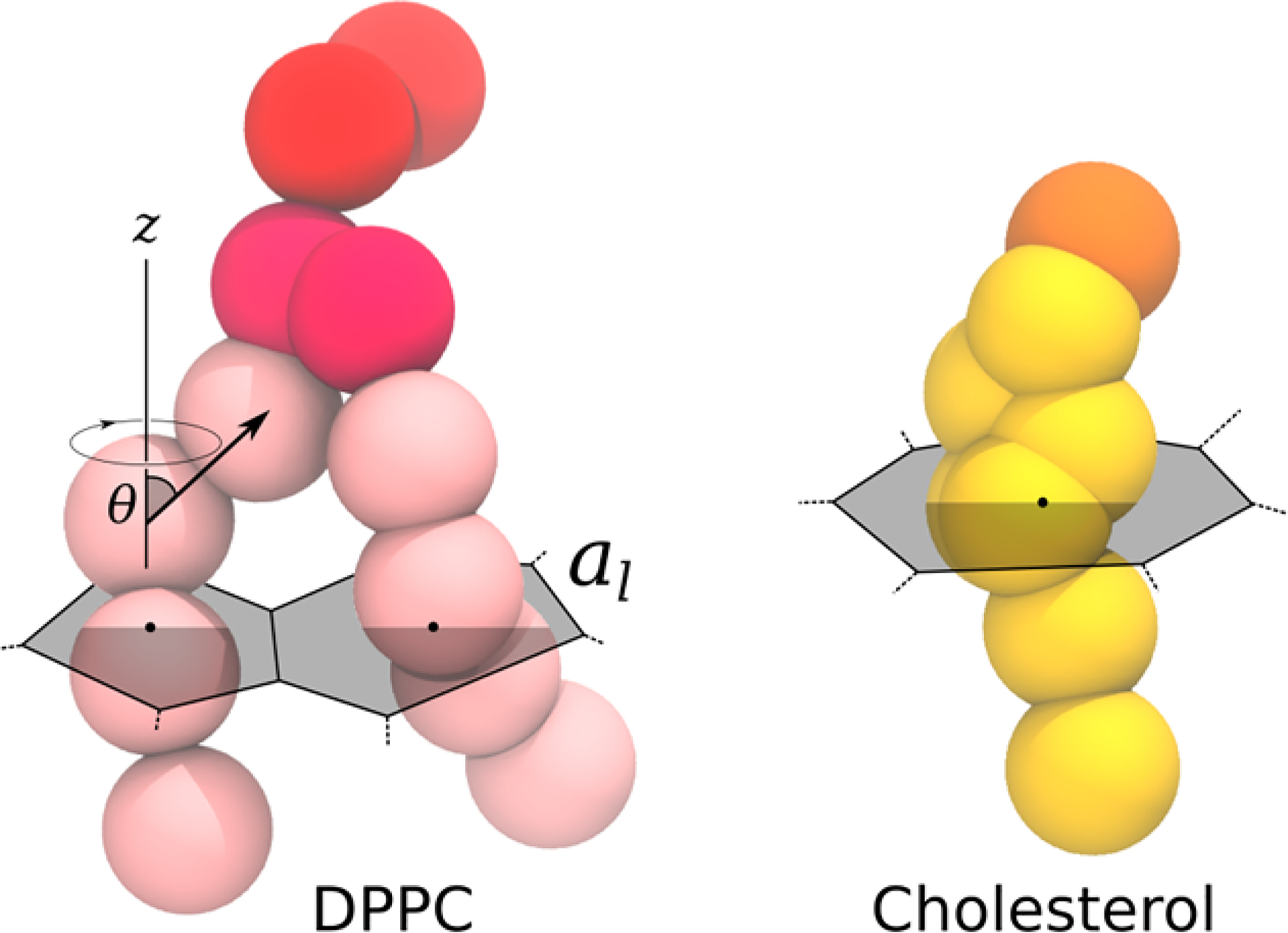 Figure 1. |