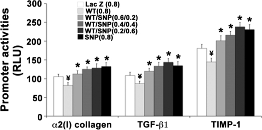 FIGURE 10.