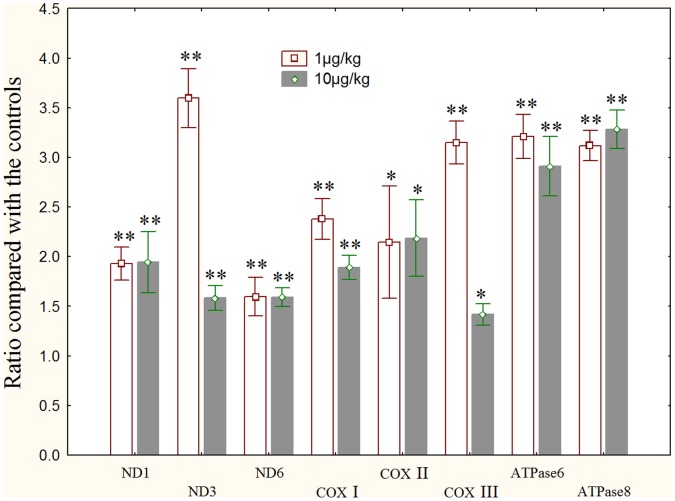 Figure 7