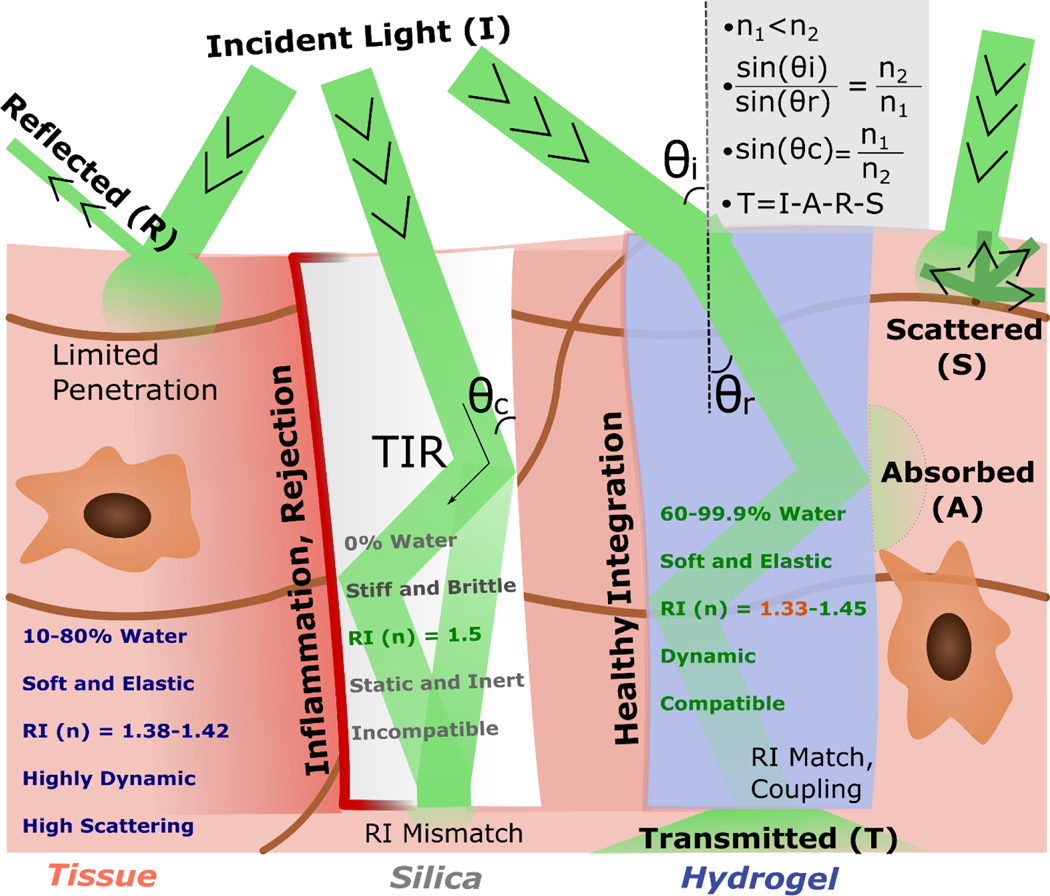 Figure 1: