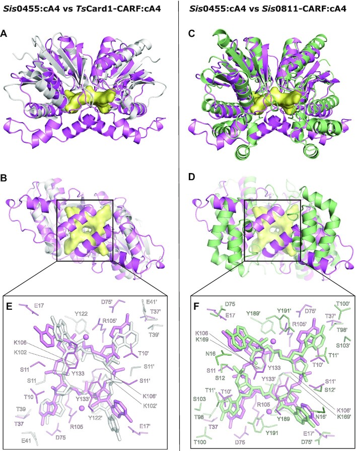 Figure 5.