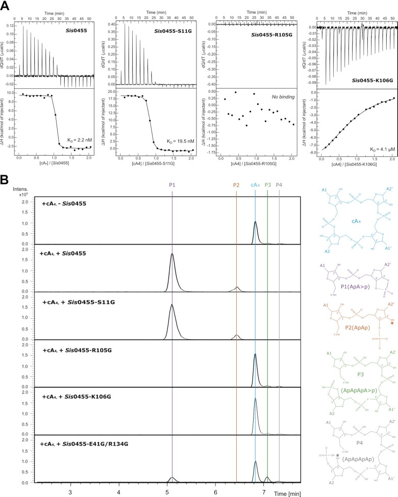 Figure 4.