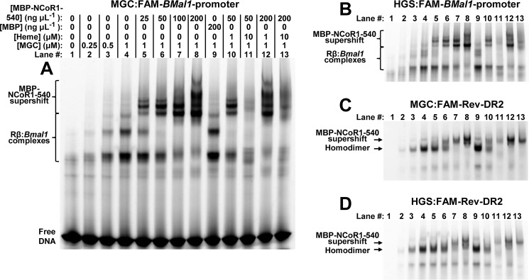 FIGURE 10.