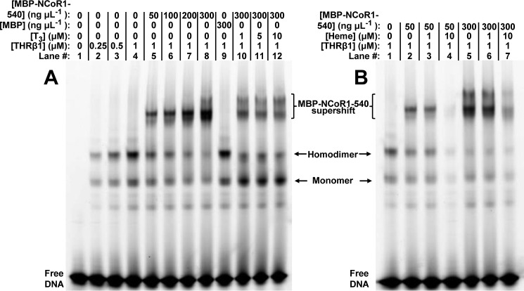 FIGURE 12.