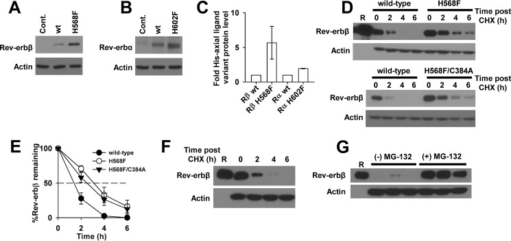 FIGURE 15.