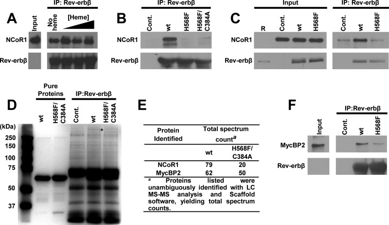 FIGURE 14.