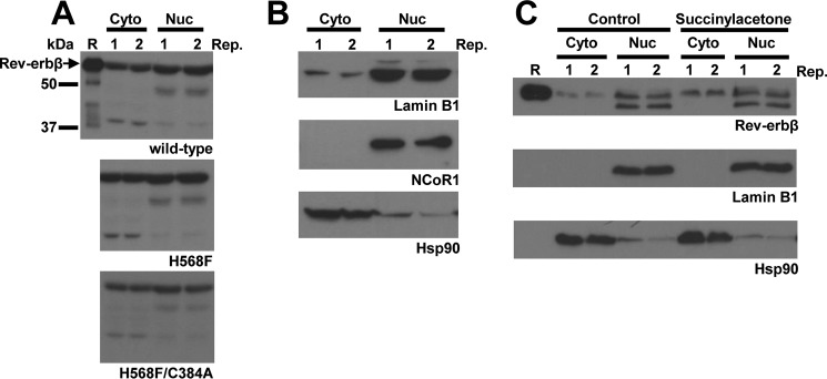 FIGURE 16.