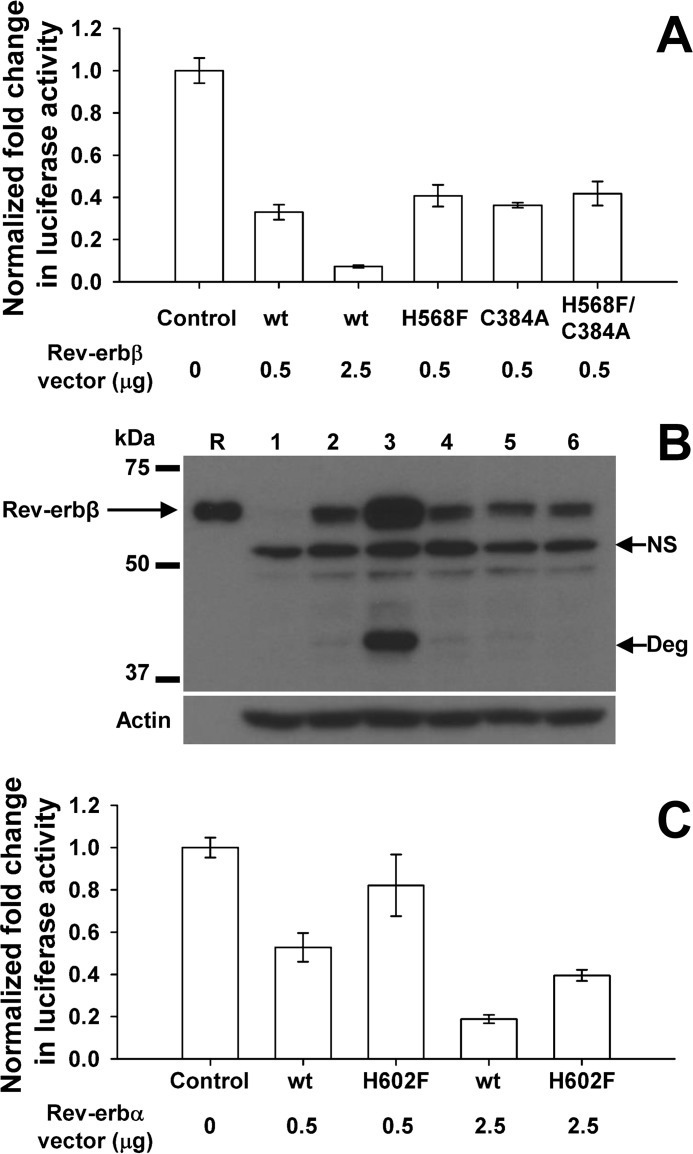 FIGURE 17.