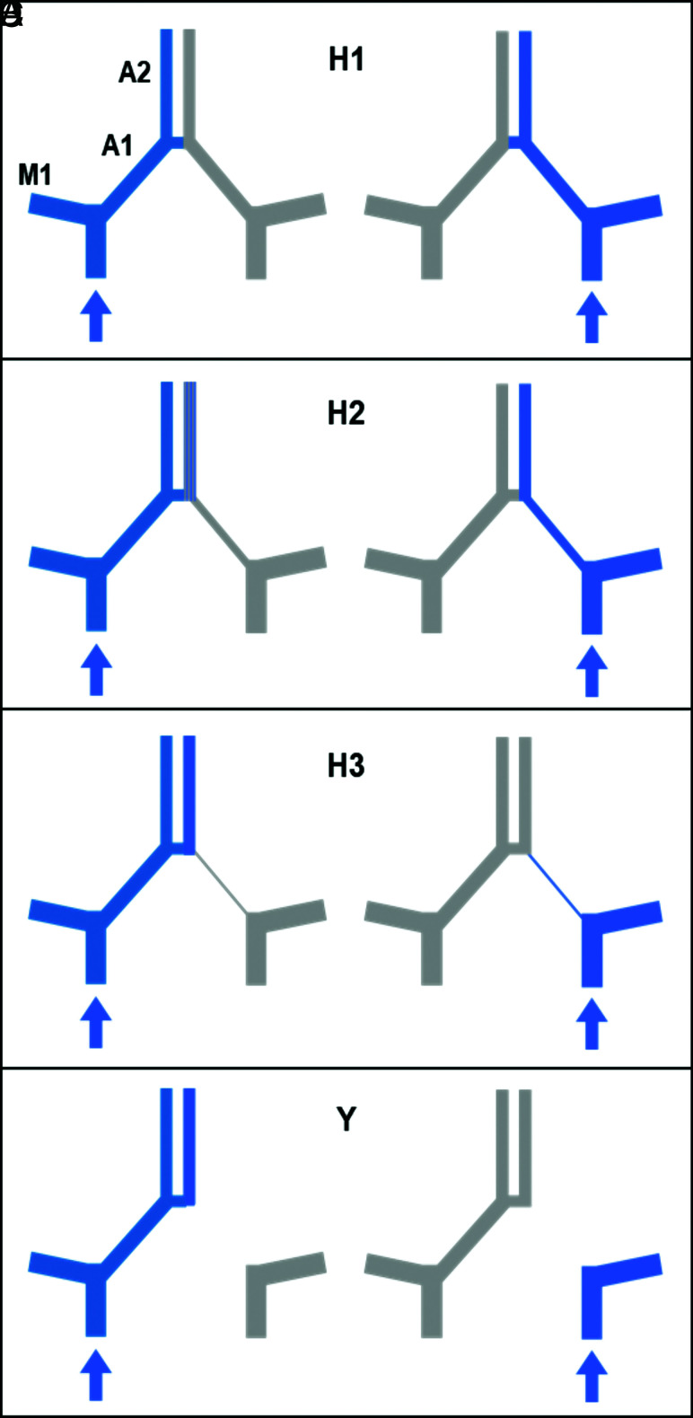 FIG 1.