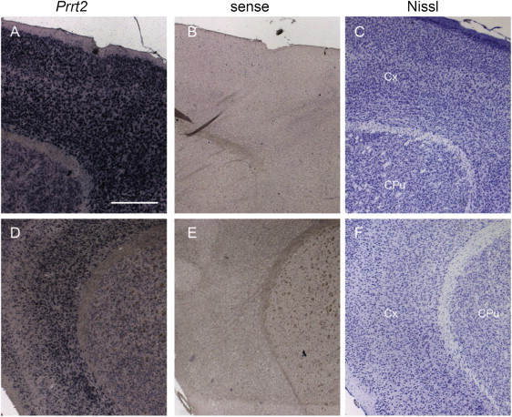 Figure 3