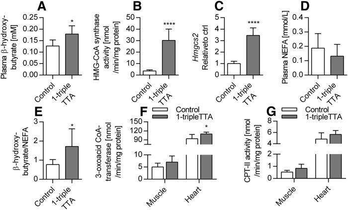 Fig. 11.