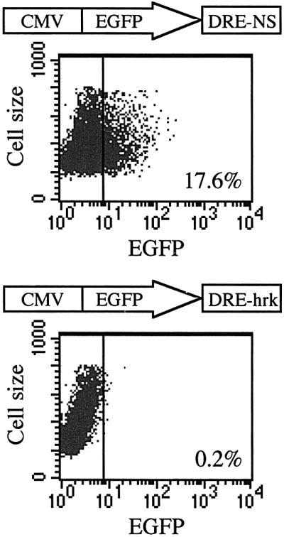 graphic file with name cde215f3.jpg