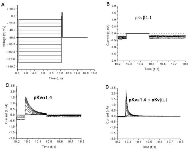 Fig. 8