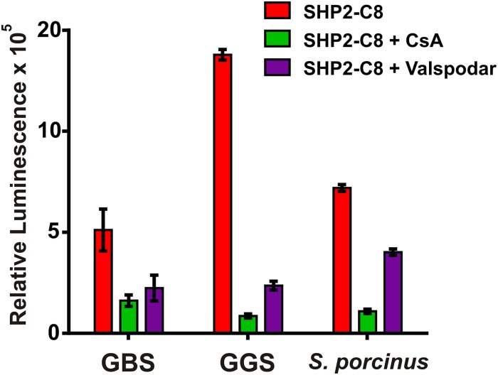 FIG 5 