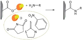 graphic file with name polymers-10-00551-i005.jpg