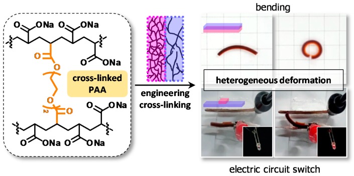 Figure 22