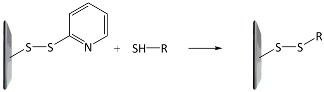 graphic file with name polymers-10-00551-i002.jpg