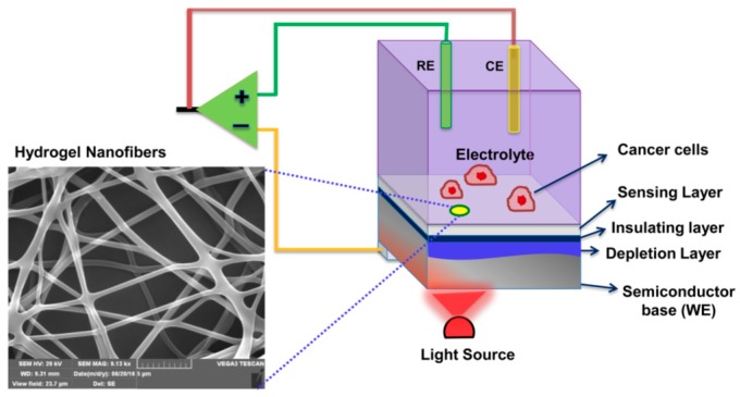 Figure 23