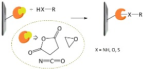 graphic file with name polymers-10-00551-i003.jpg