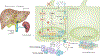 Fig. 3 |