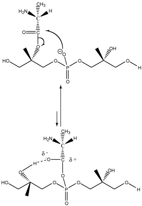 FIG. 6.