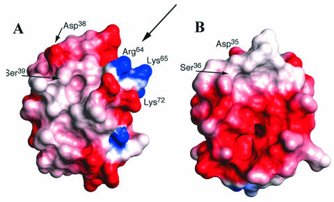 FIG. 12.