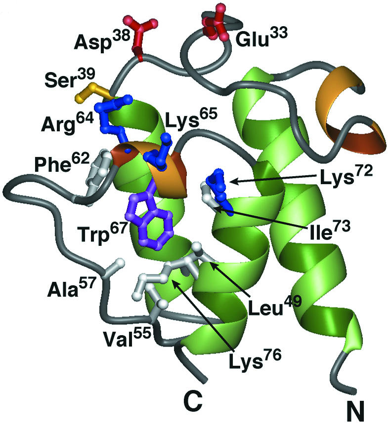 FIG. 11.