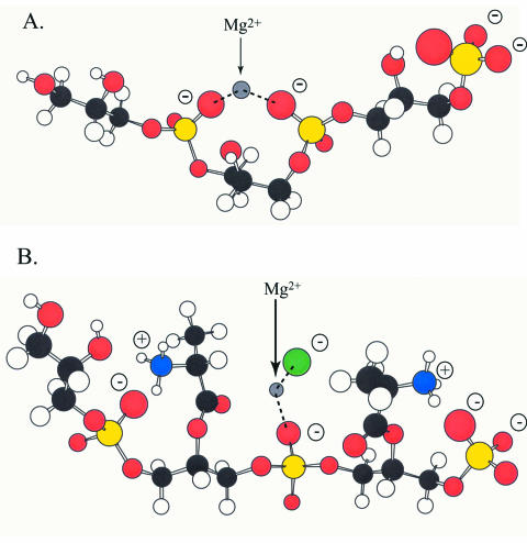 FIG. 16.