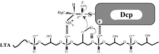 FIG. 13.